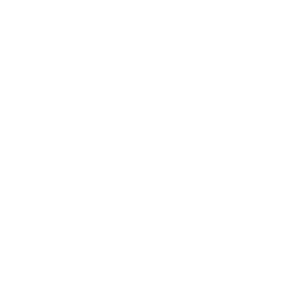 Zeppelina
